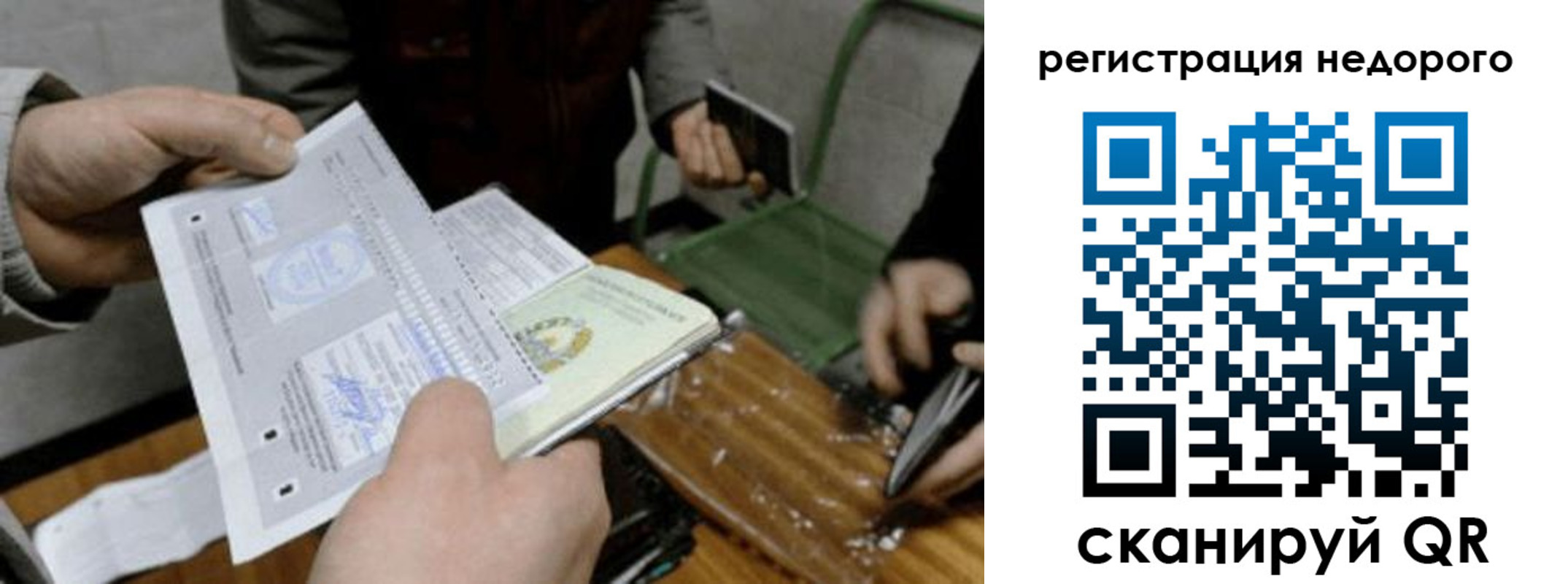 прописка поиск в Вологде